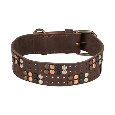 Trixie collar perro remacha grasa rústica de cuero marrón oscuro