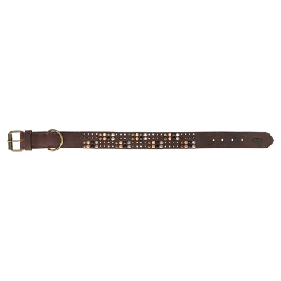 Trixie collar dog rivet rustic fat leather dark brown