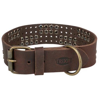 Trixie collar dog rivet rustic fat leather dark brown