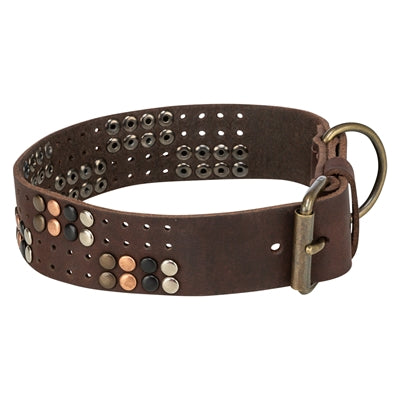Trixie collar dog rivet rustic fat leather dark brown