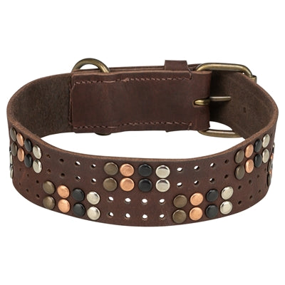 Trixie collar dog rivet rustic fat leather dark brown