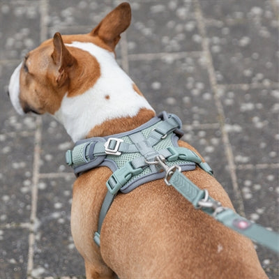 Trixie Dog più duro Premium Flexmesh Wide Bamegroen
