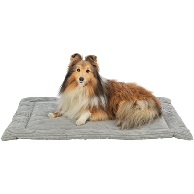 Trixie ligmat jonna rib terciopelo gris
