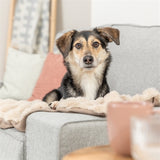Trixie coperta per cani elli sabbia - afbeelding 2
