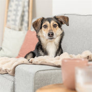Trixie hondendeken elli donkergrijs - afbeelding 2
