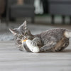 Trixie Sleepy Face con Catnip Pluche Assorti