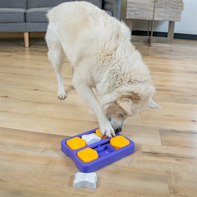 Brick per cani Nina Ottosson