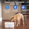 Petsafe fontanella viva