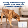 Petsafe fontanella viva