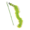 Happy pet tabby patch cat rod bruco verde