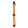 Happy pet tabby collare patch gatto diamante arancione