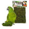Indietro zoo natura foresta muschio