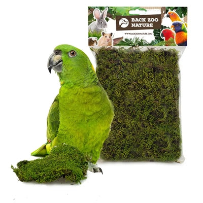 Indietro zoo natura foresta muschio