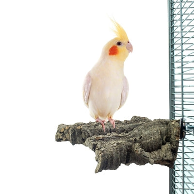 Masticable corchoso natural Back zoo