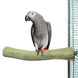 Volver zoológico naturaleza java perca - afbeelding 3