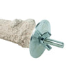Back zoo nature super stone perch