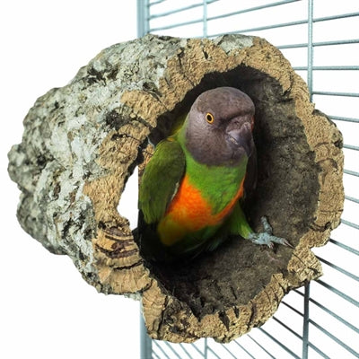 Cabaña del tronco de la naturaleza del zoológico trasero