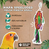 Volver zoo naturaleza piñata de melón