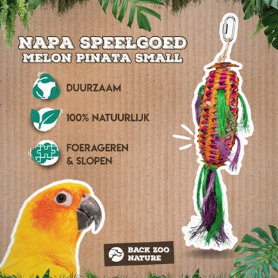 Volver zoo naturaleza piñata de melón