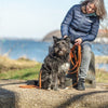 Trixie sleeplijn met rubber bekleed zonder handlus oranje