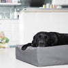 Bia Bia Copertura in pelle artificiale cestino per cane grigio