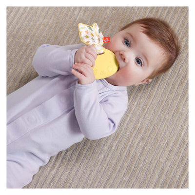 Coniglio a sonaglino morso Fisher Price