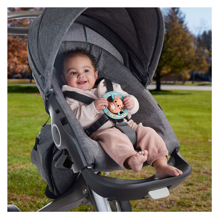 Fisher price mordedura sonajero axeloth