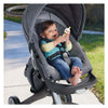 Fisher Price morde l'anatra a sonaglino
