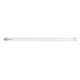 Sylvania 1073958 - td av t8 1700830 50k | 5 piezas