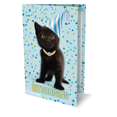 Inviti con gatti Rachel Hale, 6 pezzi.