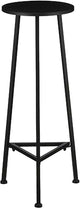 Mica decorations jill plantentafel - 30x30x80 cm - ijzer - zwart