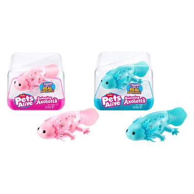Animali domestici Alive Swimming Axolotl Assorti