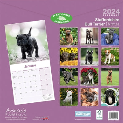 Calendario 2024 especies div a pedido