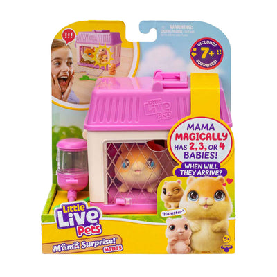Mini mamá sorpresa mini hámster pequeñas mascotas vivas