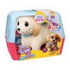 Mi bebé ouchies luxury cooper interactive