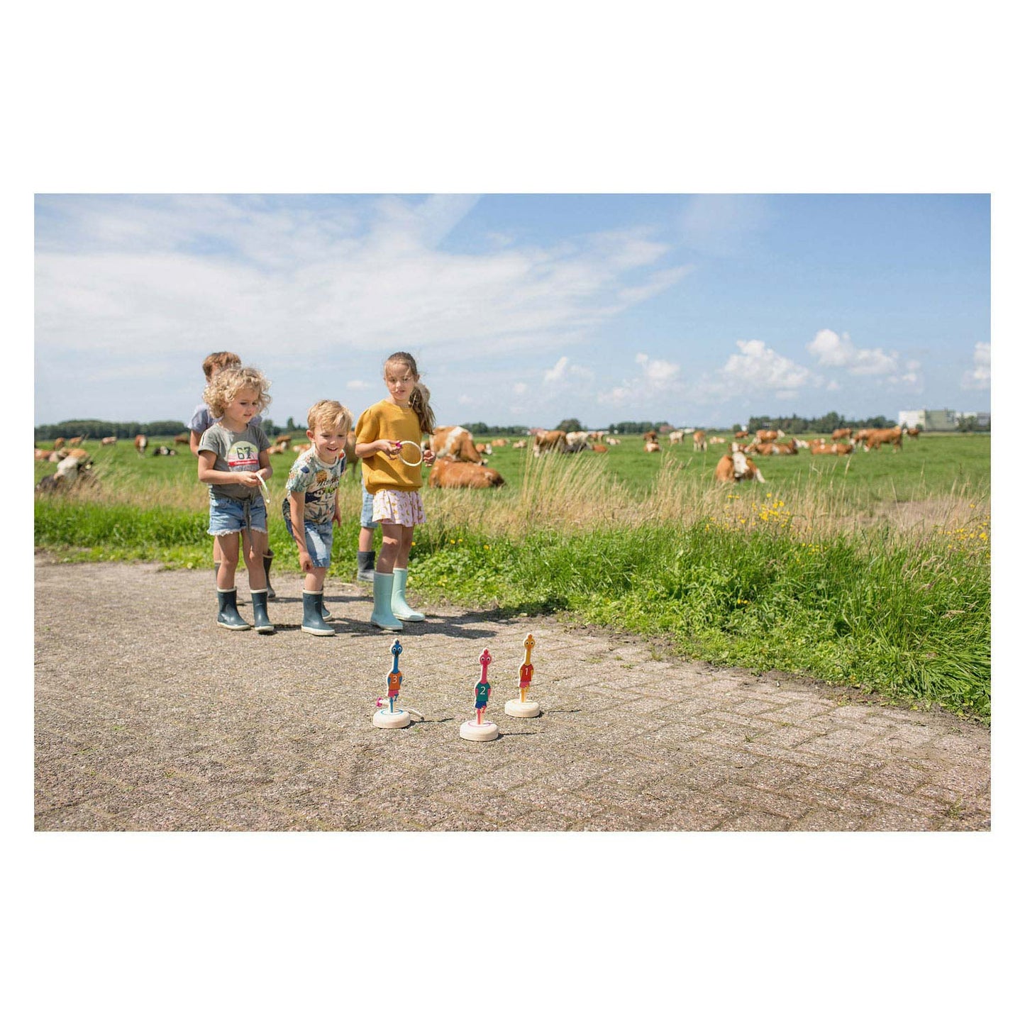 BS Toys Ringwerpen Vogels Hout Werpspel