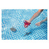 BS Toys Opsuik Animales Sea Animals Toy de buceo