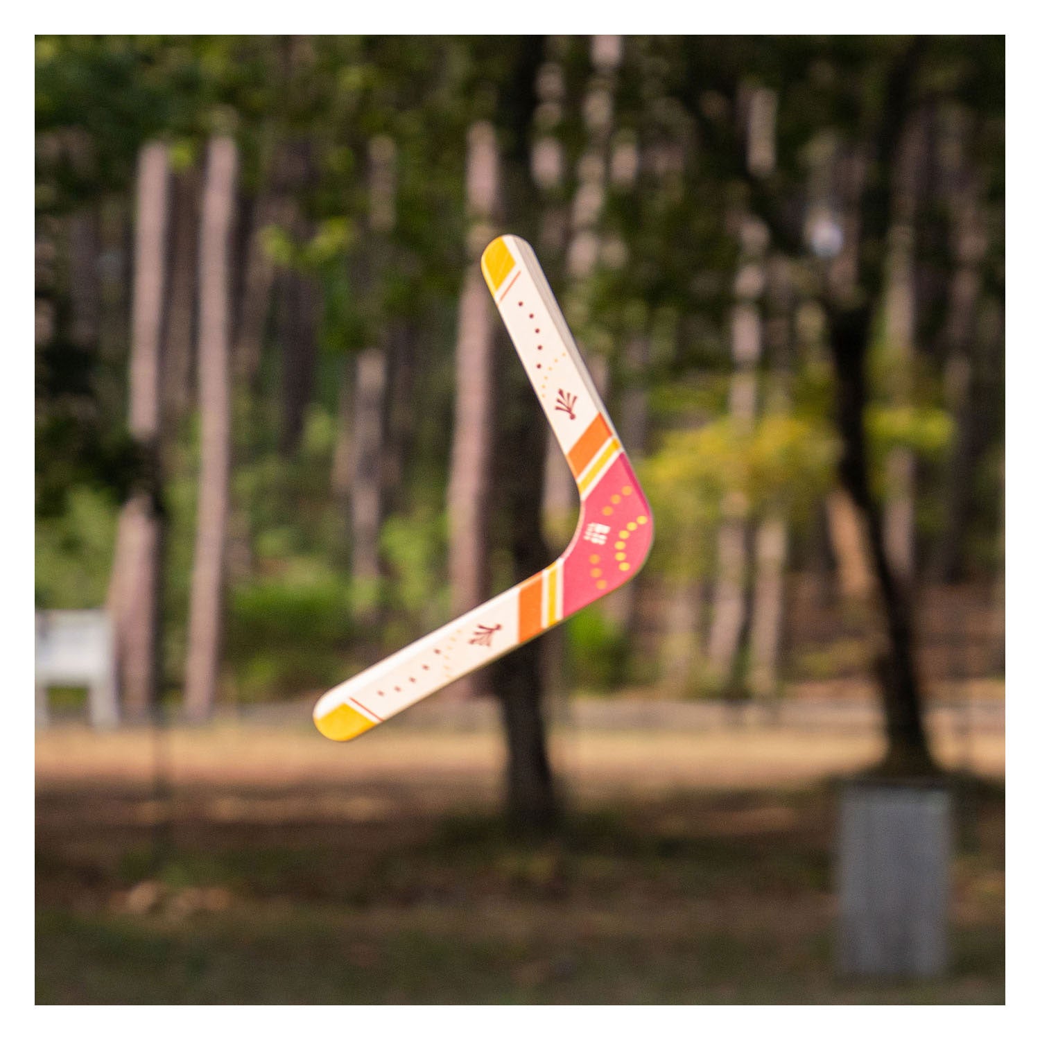 Bs toys boomerang
