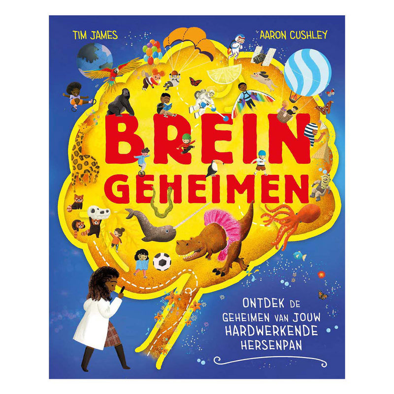 Uitgeverij kluitman breingeheimen