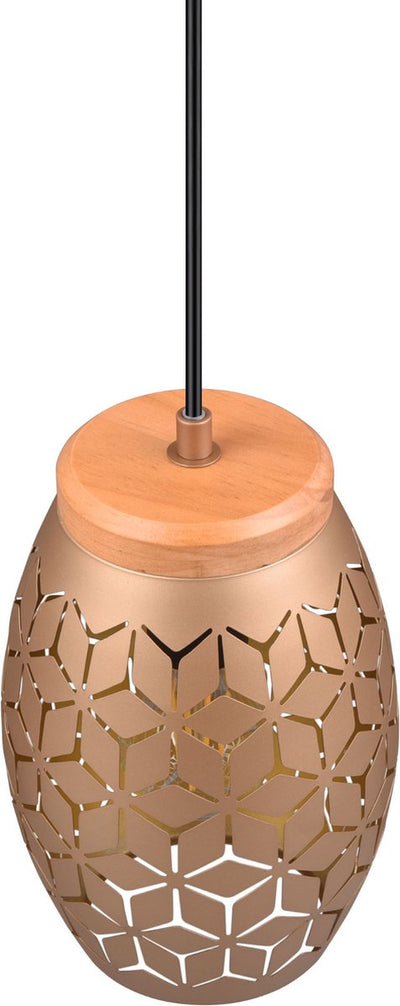 Rl live your light reality bidar - hanglamp - koffie - excl. 1x e27 28w