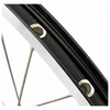 Ruota posteriore Shimano 28 pollici mozzo nexus 7 (nero) - cerchio zac2000 (nero argento) con raggi in acciaio inox - per freno a disco