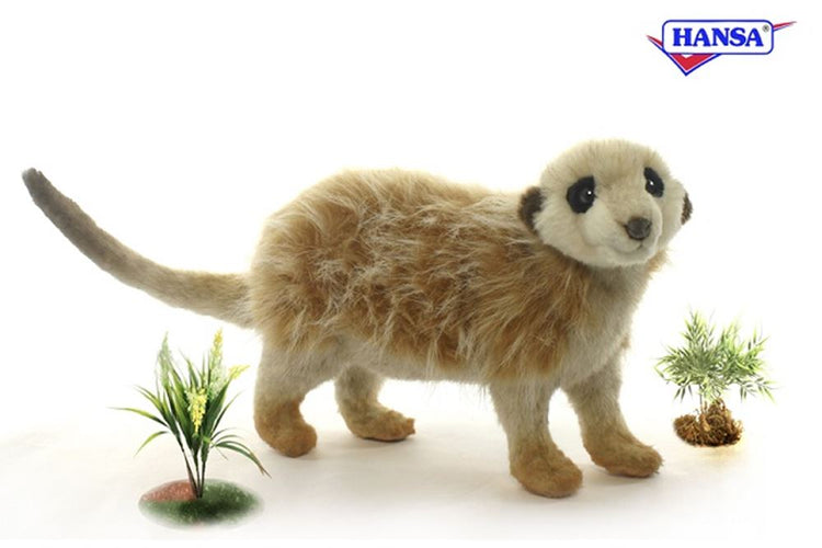 Suricata de pie 32 cm