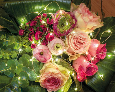 Illuminazione a cascata Lumineo 40LED bianco caldo