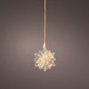 Lumineo micro led ster met droogbloemen ø 19cm