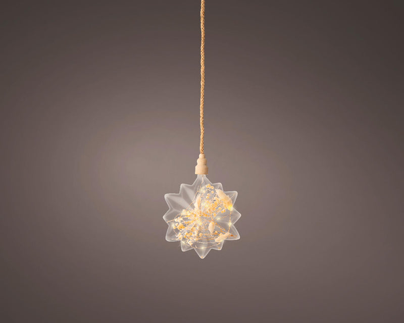 Lumineo micro stella LED con fiori secchi ø 19cm