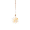 Lumineo micro led ster met droogbloemen ø 19cm