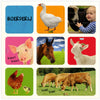 Mijn eerste flapjesboek 100 dieren