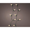 Lumineo LED vintage iluminación para árbol de Navidad 8 funciones efecto centelleo 50LED 980cm verde oro suave