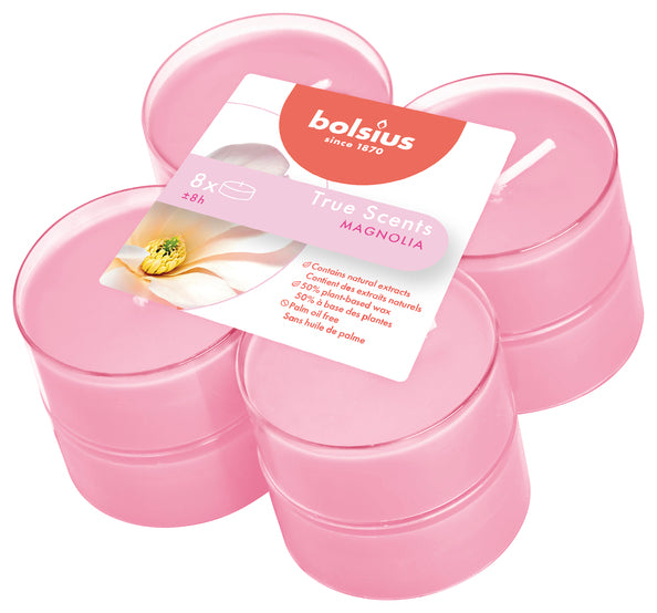 Bolsius maxi luci veri profumi magnolia ø58x24 mm 8 ore (6x 8 pezzi)