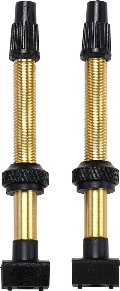 Bbb cycling tubeless valve for mtb and racing bike - length: 60 mm - tubeless valves - black - bti-159